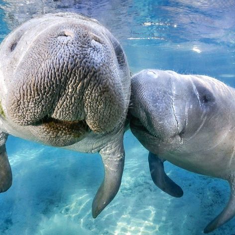 Aj sovy pri bozkoch zatvárajú oči