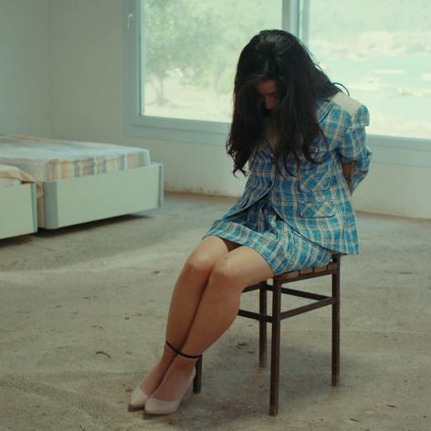 Veľvyslancova dcéra