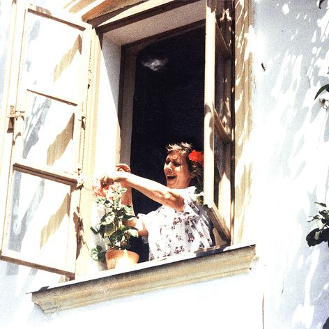 Slunce, seno, jahody