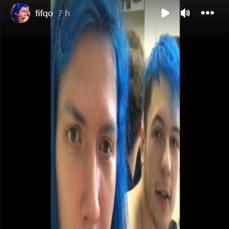 Filipov modrý Silvester