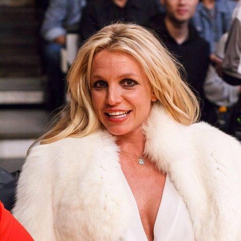 Britney Spears so Samom Asgharim a deťmi Seanom a Jaydenom Jamesom