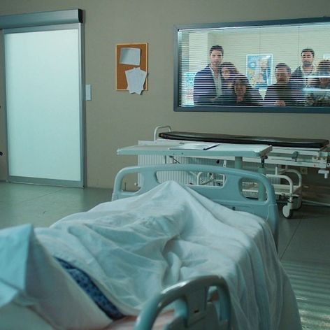 Láska, rozum, pomsta