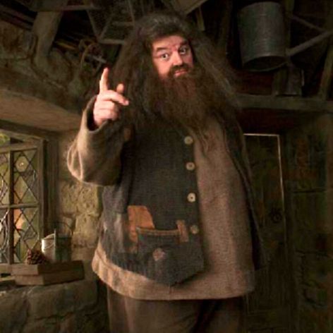 Robbie Coltrane ako Hagrid v Harrym Potterovi.