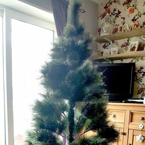 Jenny Mills a jej nepodarený stromček