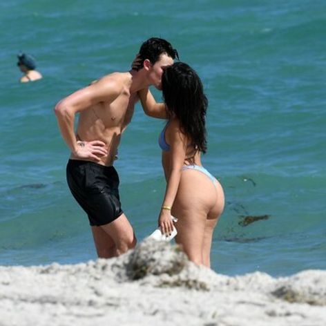 Camila Cabello a Shawn Mendes