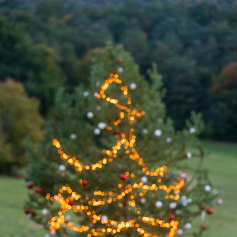 Predposledný deň na Farme