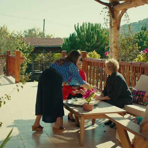 Veľvyslancova dcéra