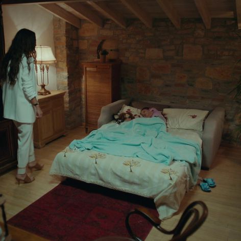 Veľvyslancova dcéra