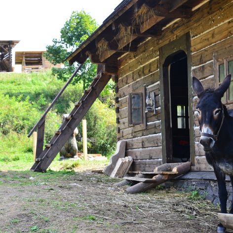 Vlak sa zrazil s nákladným autom.