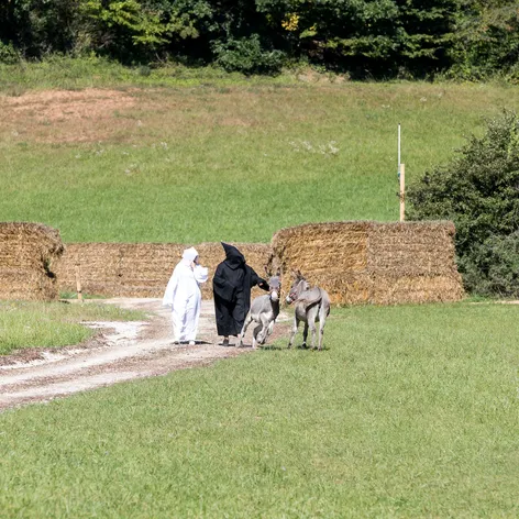 Na Farmu prišli dve zamaskované osoby
