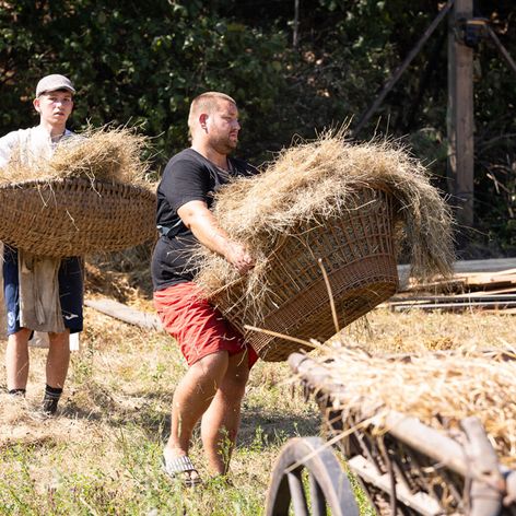 Zábery z 10 epizódy 16. série Farmy