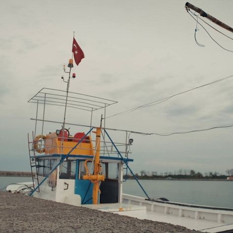 Zachránené životy