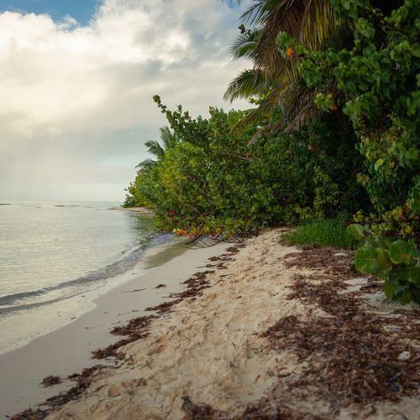 Dominikánska republika