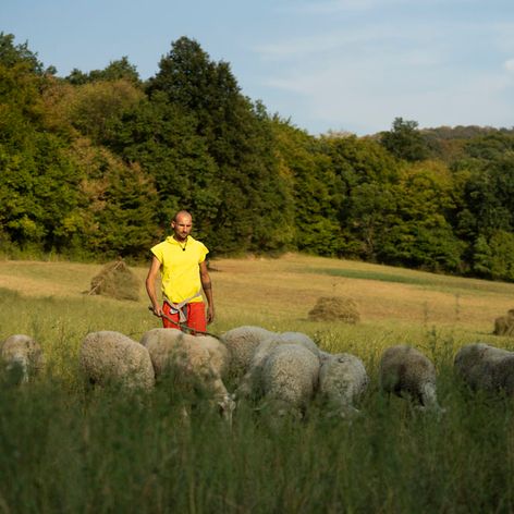 28. a 29. deň na Farme, Kúria vyhrala štafetu