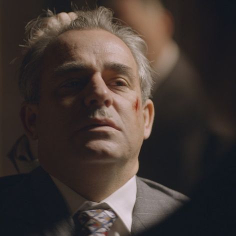 holubec nakladacka.jpg_bez_watermarku_1.5