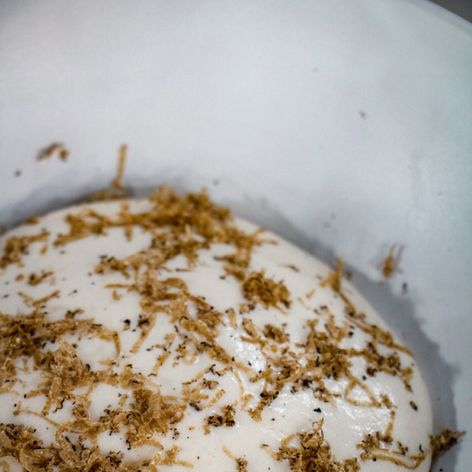 Michal Novák v Teleráne pripravil jesenné chuťovky