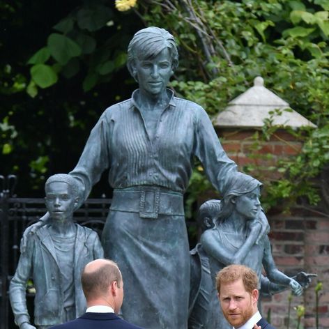 Princovia Harry a William