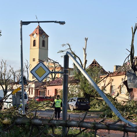 Popadané stromy v obci Moravská Nová Ves, okres Hodonín.