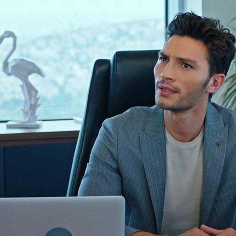 Láska, rozum, pomsta