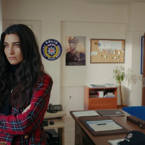 Veľvyslancova dcéra