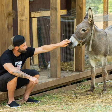 Dvanásty deň na statku