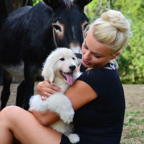 Šteniatka farmárov veľmi potešili