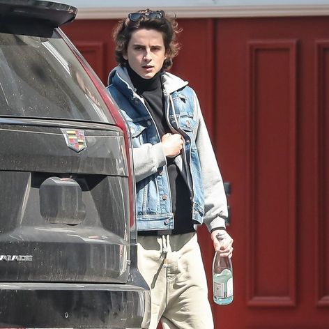 Kylie Jenner a Timothée Hal Chalamet