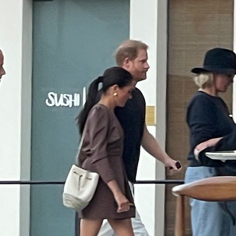 Princ Harry a vojvodkyňa Meghan