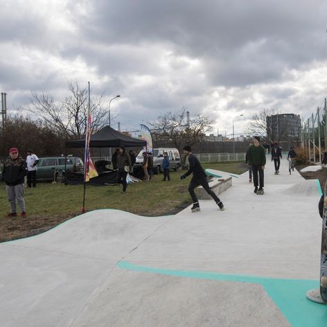 Nehoda koňa s autom.