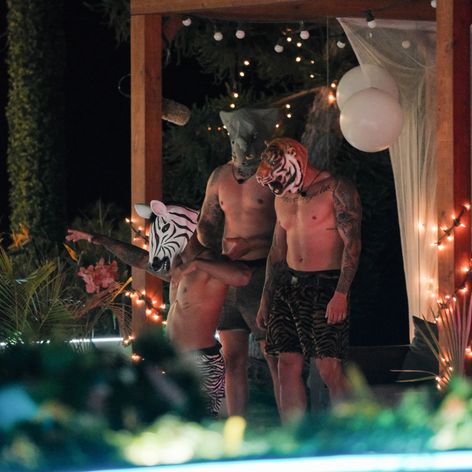 Do vily prišli traja noví bombshellovia.