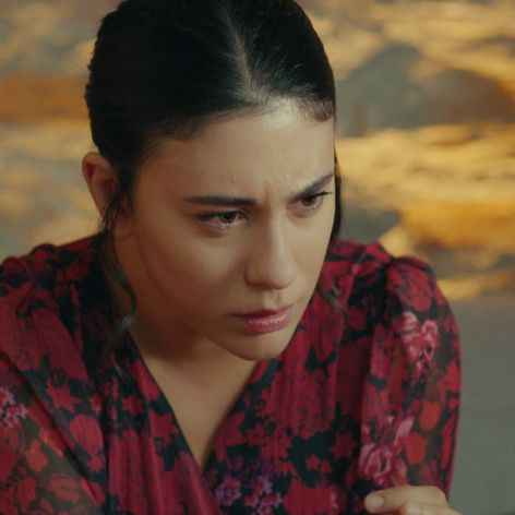 Veľvyslancova dcéra