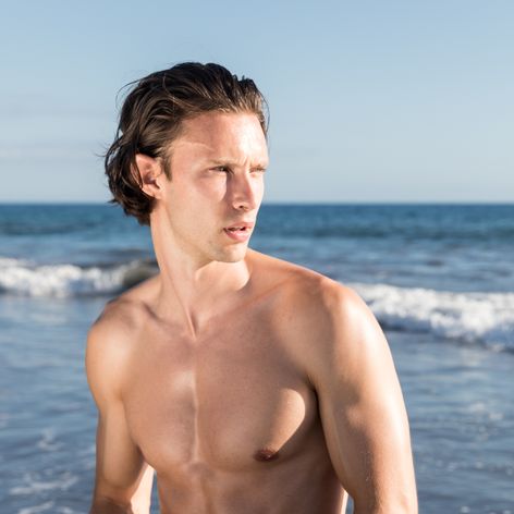 Model Petr