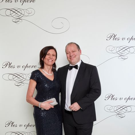 Túlavý pes -ilustračné foto.