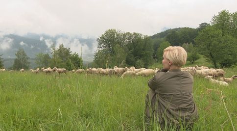 Kvetka Horváthová opäť na farme: Na nič nezabudla