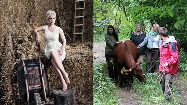 Legenda je späť! Jedinečná možnosť pozrieť si úplne prvú Farmu