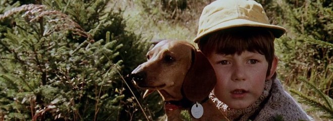 Na pytlácké stezce