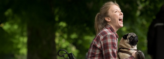 Mopslík na zjedenie