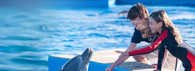 Môj kamarát delfín 2