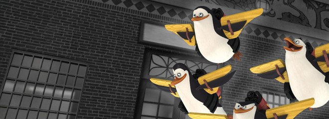 Tučniaky z Madagaskaru