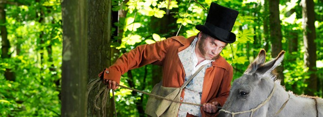 Rozprávky bratov Grimmovcov: Brémski mestskí muzikanti