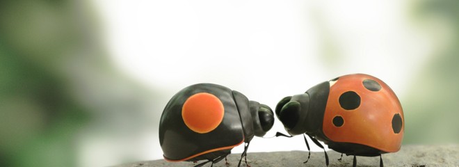 Chrobáčikovia 2: Ďaleko od domova