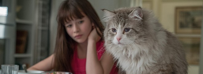 Deväť životov pána Fúzika