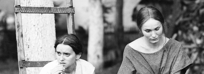 Pásla kone na betóne