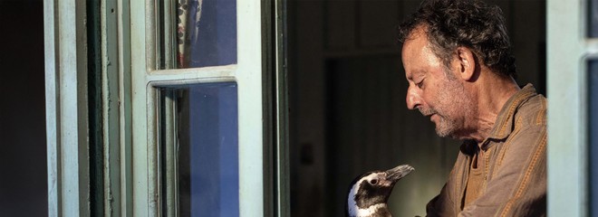 Môj kamarát tučniak