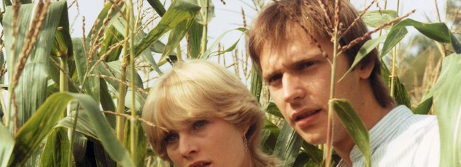 Slunce, seno, jahody