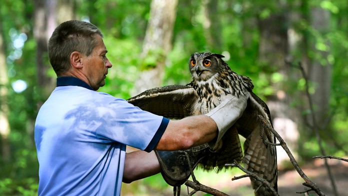 Ilustračná snímka.