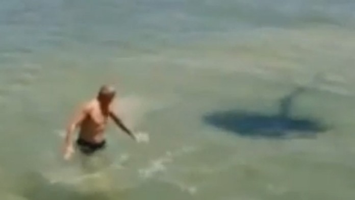 Jednoduchým vtipom nachytali celý svet