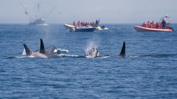 Ilustračná snímka. 