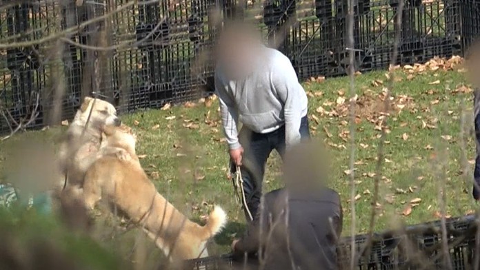 Hľadaný Radoslav Chebeň na policajných fotografiách.