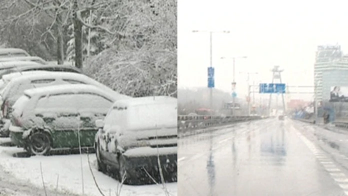 kolaz_edited-1.jpg